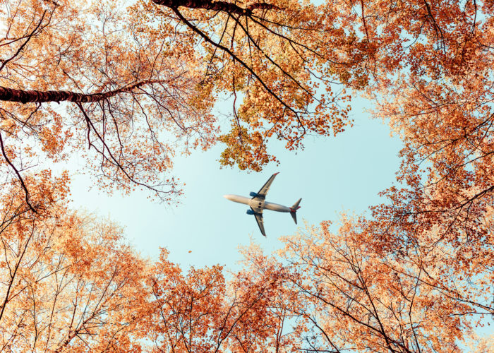 Airplane flying through the sky as seen from the ground through autumn trees