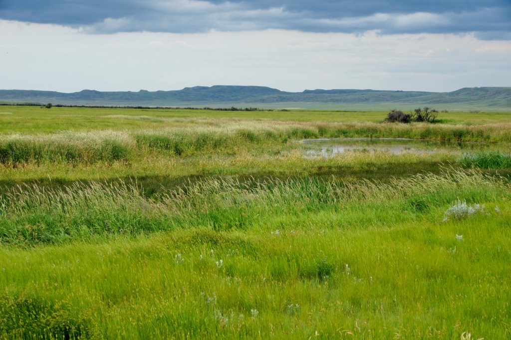 Grasslands National Park in Saskatchewan, Canada